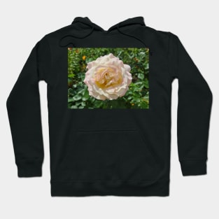 Pink Rose Hoodie